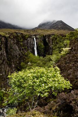 Eas Mor and a Rowan Tree