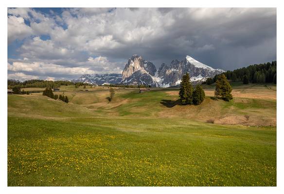 alpedisiusi-7744