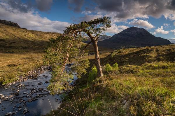 The Glen Torridon Loner ..