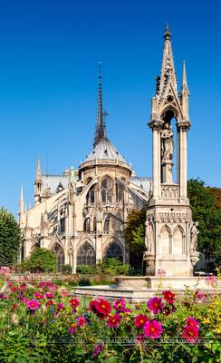 IMG_6849 - Notre-Dame de Paris & Square Jean XXIII