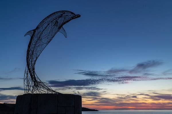 Dolphin at Portsoy