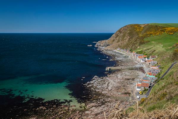 Crovie