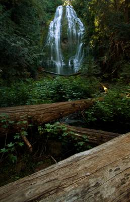 Proxy Falls in Color