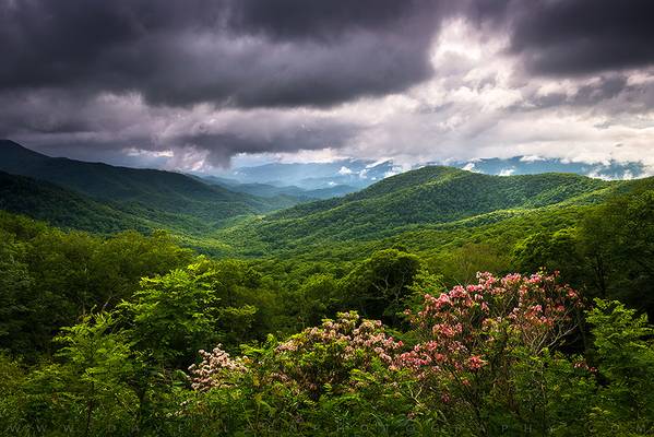North Carolina Blue Ridge Mountains Spring Flowers Landscape