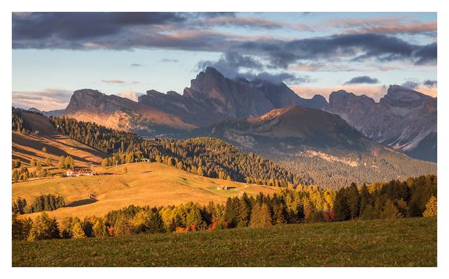 alpedisiusi-1031