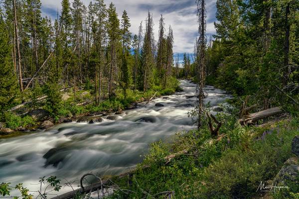 Redfish Lake Creek