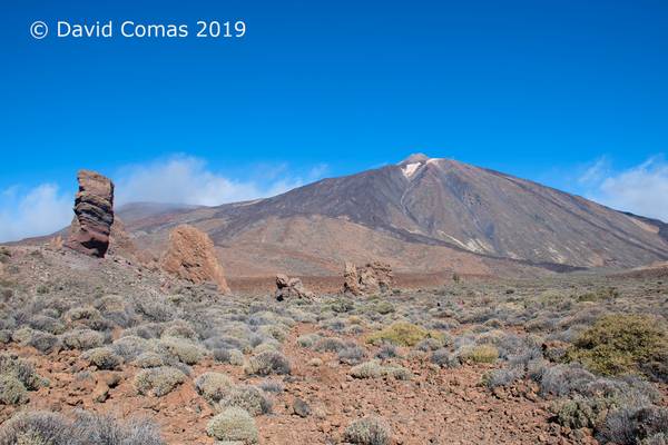 Tenerife - Parque nacional del Teide