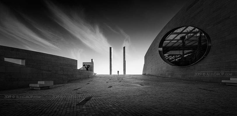 _DS16529 - The Unknown