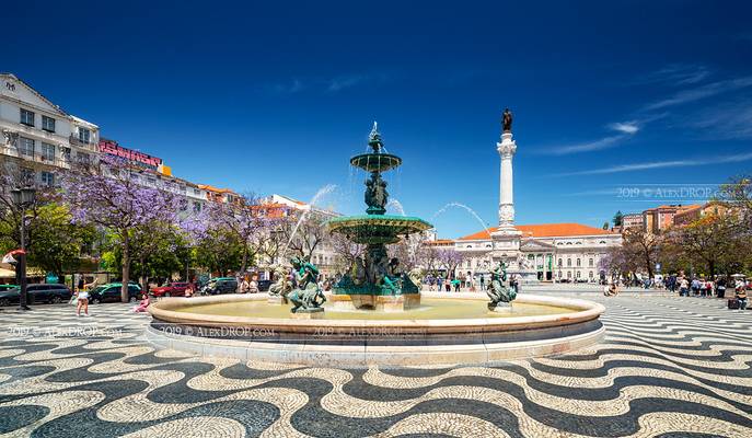 _DS16664 - Praça Dom Pedro IV, Lisbon