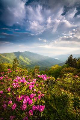 North Carolina Blue Ridge Parkway Asheville NC Outdoor Landscape