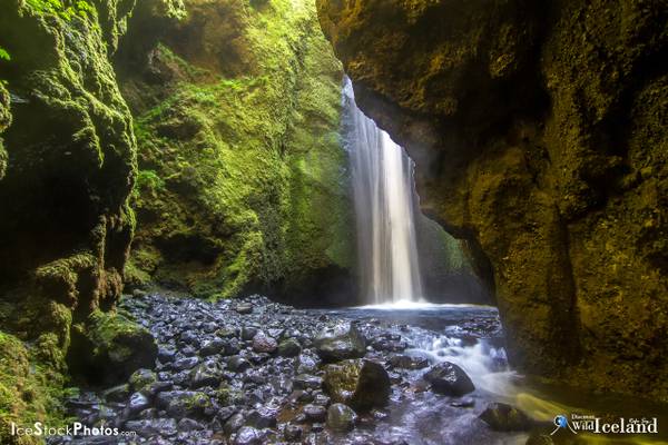 Waterfall in Nauthúsagil Canyon