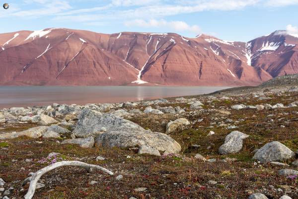 Along shore of Bockfjord