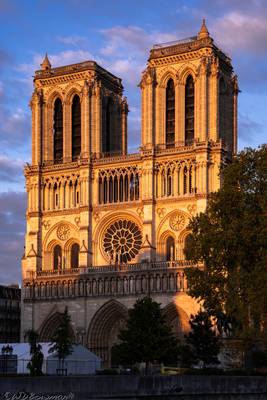 Notre Dame de Paris (et de Plomb)