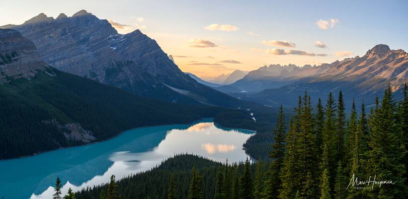 The Wolf in the Valley