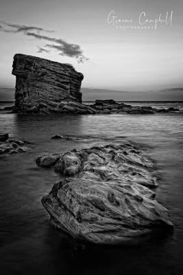 Charleys Back Garden