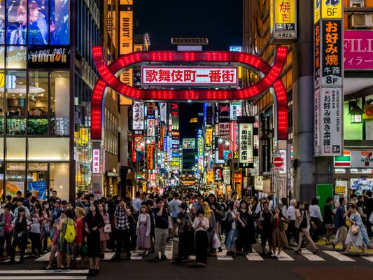 Kabukicho Gate