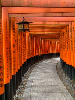 Torii Trail