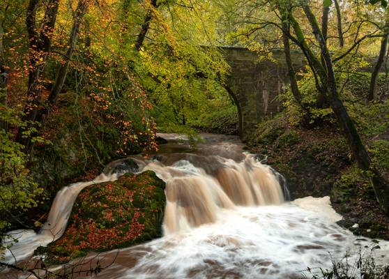 Arbirlot Falls