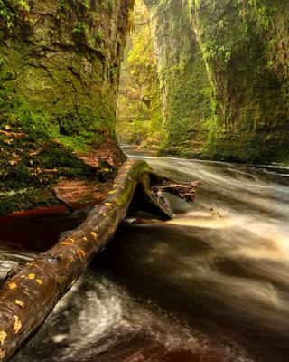 More from the Devil’s Pulpit