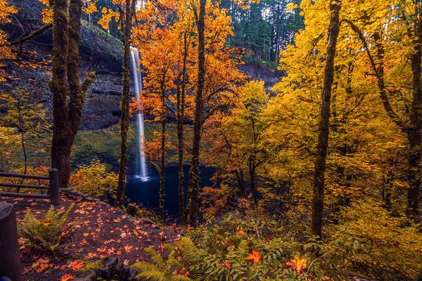 South Falls - Silver Falls State Park in Autumn