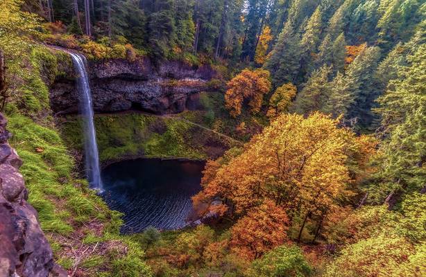 Silver Falls in Autumn - View Overlooking South Falls