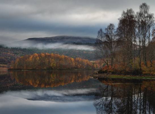 Autumn Reflections