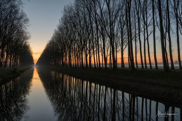 This morning along the canal