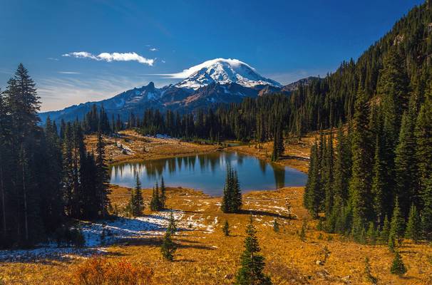 Mt. Rainier