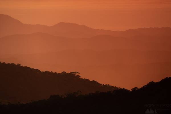 Sunset Layers, Monteverde