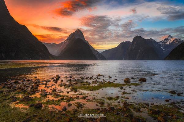 Milford Sound