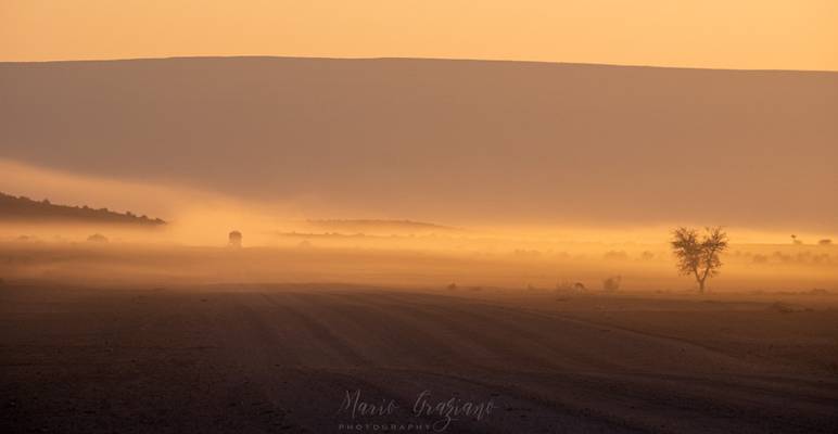 The roads of Namibia at dawn