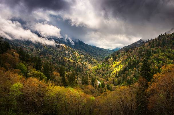 Great Smoky Mountains National Park Gatlinburg Tennessee