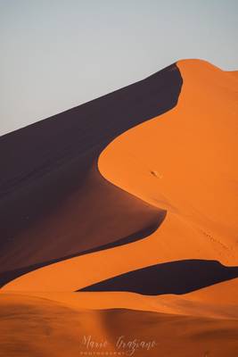 The dunes in the Namib-Naukluft Park