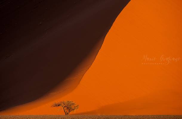 The dunes in the Namib-Naukluft Park