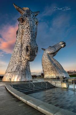 The Kelpie's at sunset!