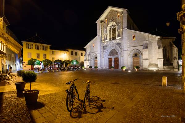 Cathédrale Saint-François-de-Sales de Chambéry