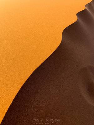 Ridges of the dunes