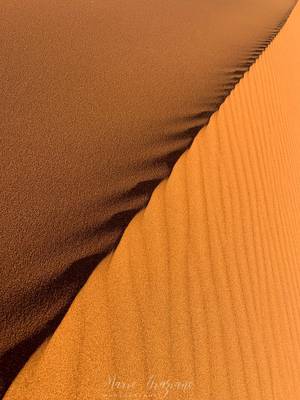 Ridges of the dunes