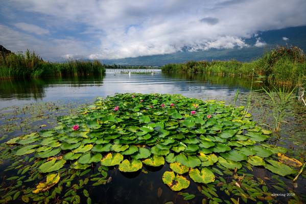 Lac du Bourget