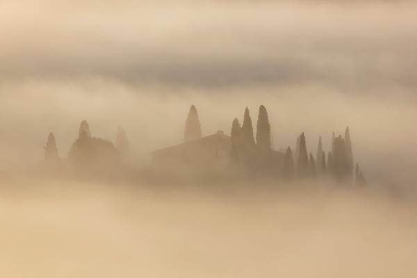 Morning Mist, Belverdere Farmhouse, San Quirico d'Orcia, Tuscany, Italy