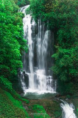 Waitanguru Falls