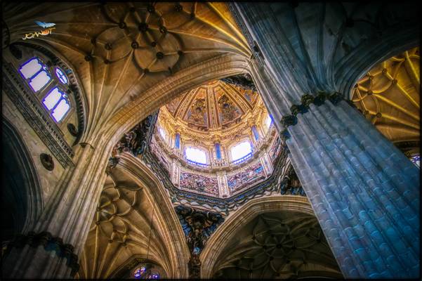 315 - Catedral de Salamanca
