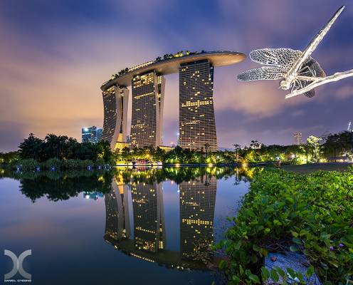 Dragongfly Park, Singapore