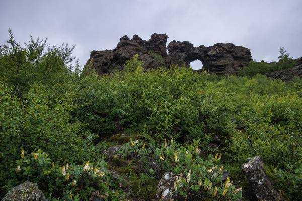 Iceland 2015 Dimmuborgir