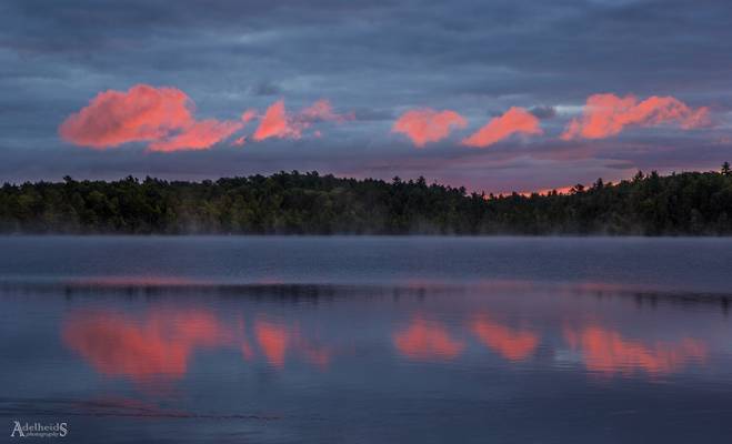 Morning pink