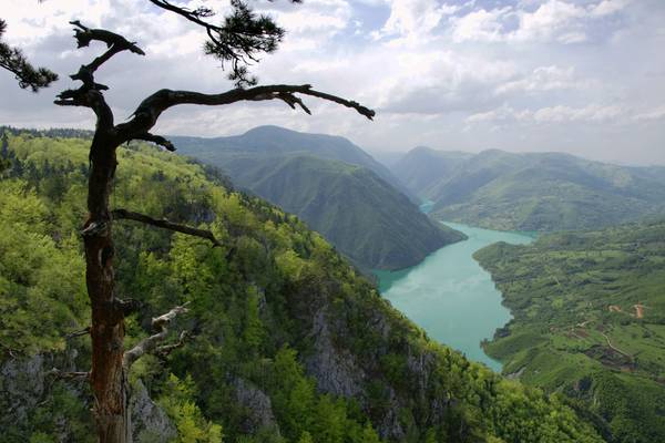 Breathtaking view from Banjska stena, Tara National Park