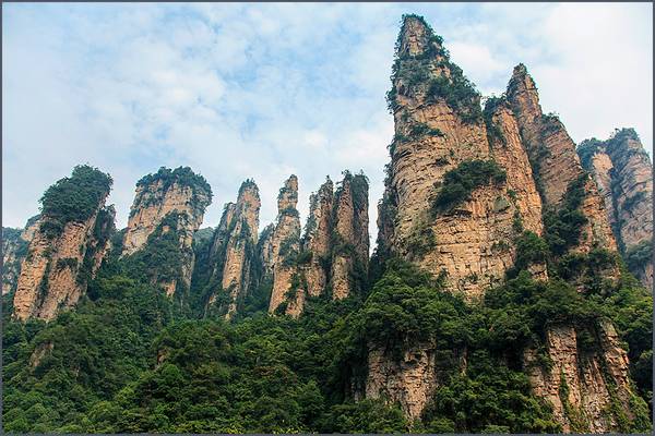 Amazing stone forest in Zhangjiajie park