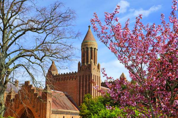 Quarr Abbey gardens in blossom, Isle of Wight
