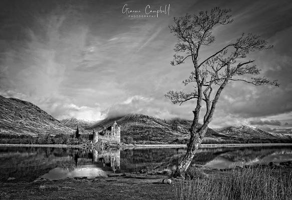 Kilchurn Tree