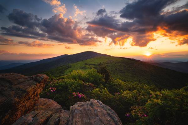 Jane's Best [EXPLORED]